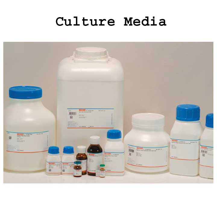 Culture Media